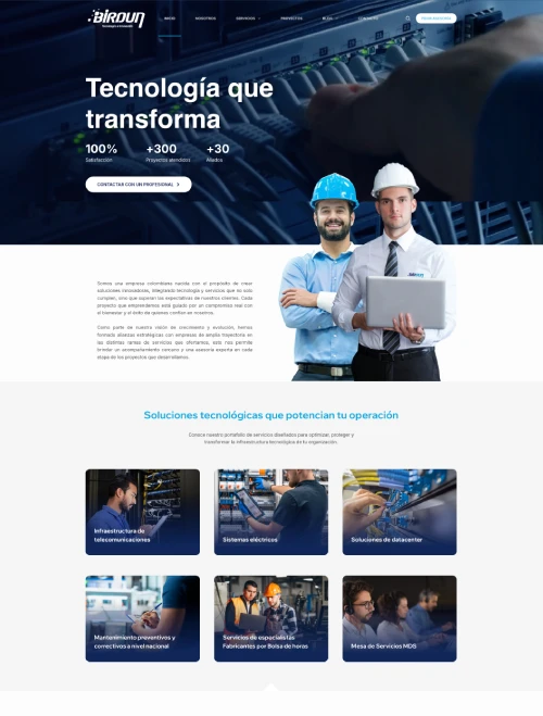 Diseño Pagina Web Birdun